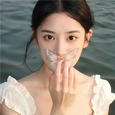 傲骨之战第六季
